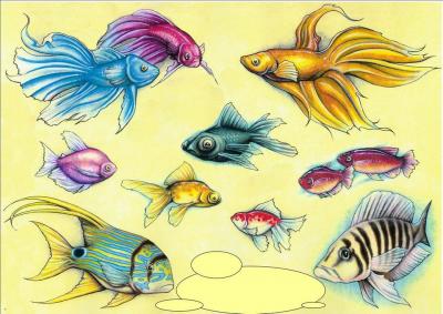 Modles - sirnes poissons divers - Photo19
