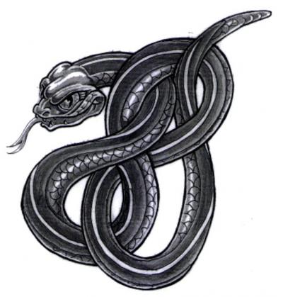 Modles - serpents lzards - Photo9