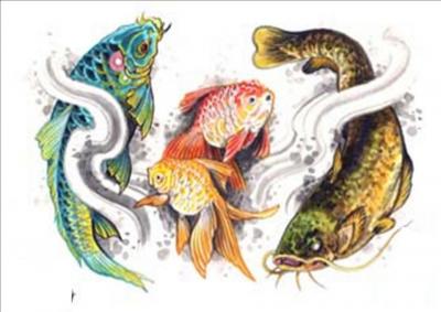 Modles - sirnes poissons divers - Photo24