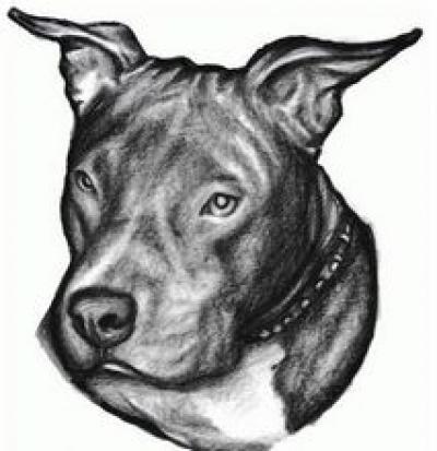 Modles - Animaux divers - Photo12