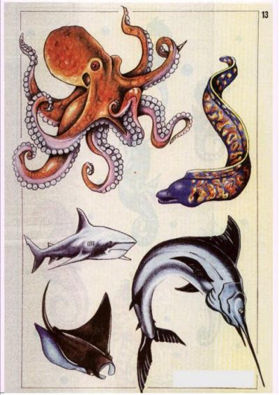 Modles - sirnes poissons divers - Photo22