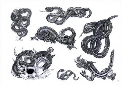 Modles - serpents lzards - Photo11
