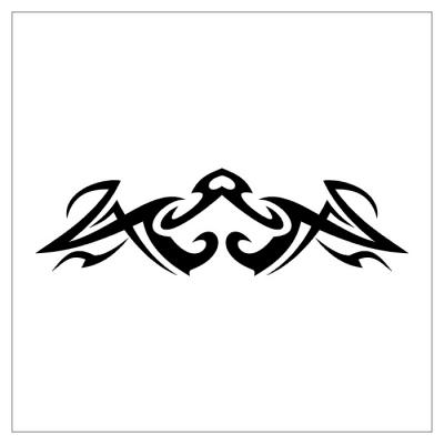 Modles - tribal - Photo4