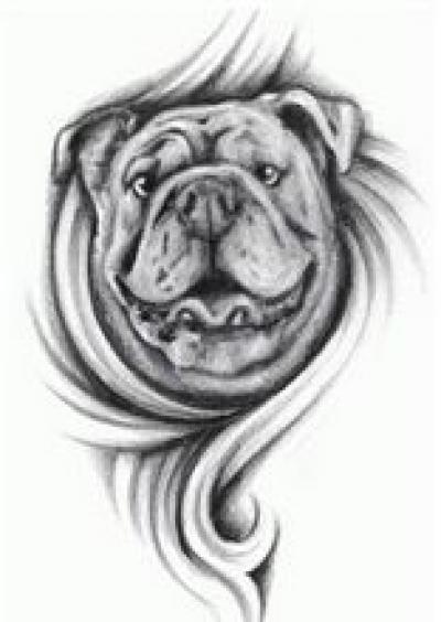 Modles - Animaux divers - Photo11