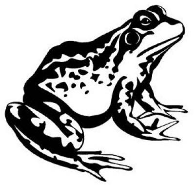 Modles - Animaux divers - Photo1