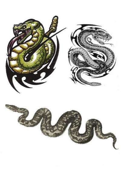 Modles - serpents lzards - Photo14