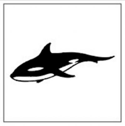 Modles - Les Dauphins - Photo25