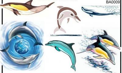 Modles - Les Dauphins - Photo10