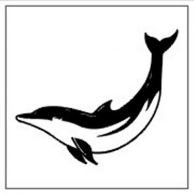 Modles - Les Dauphins - Photo28