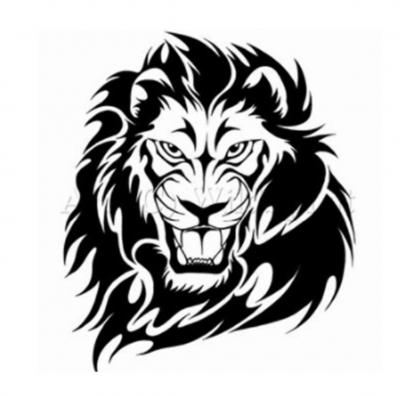 Modles - flins - lion