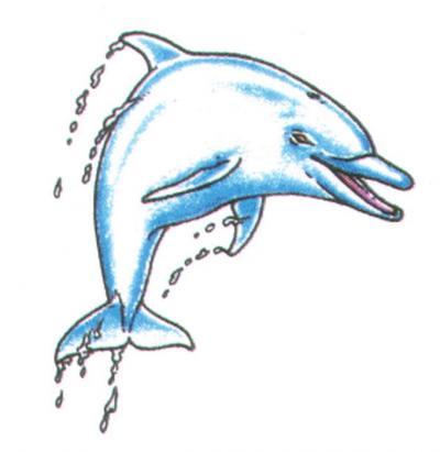 Modles - Les Dauphins - Photo18