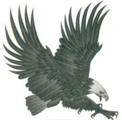 Modles - rapaces - Photo14