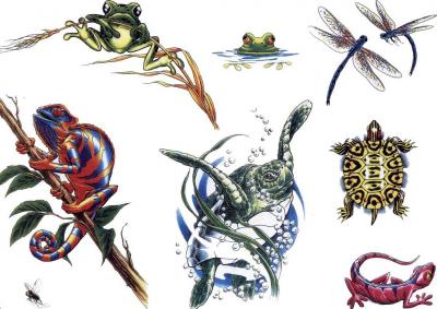 Modles - Animaux divers - Photo27