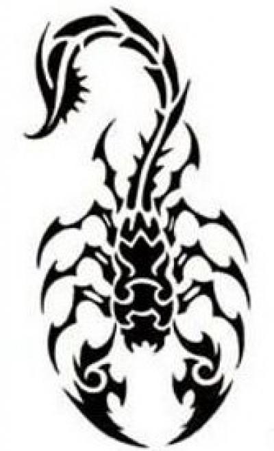 Modles - animaux tribal - Photo13