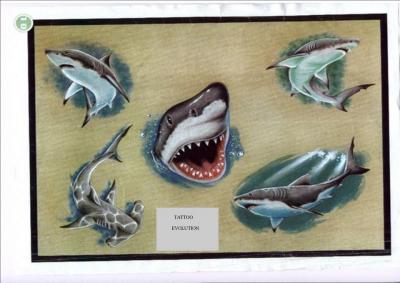 Modles - sirnes poissons divers - Photo10