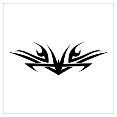 Modles - tribal - Photo8
