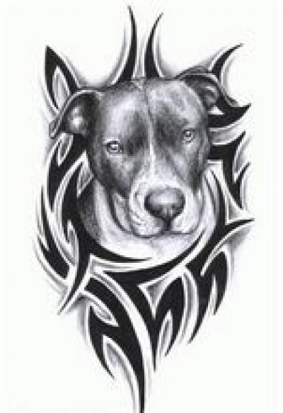 Modles - Animaux divers - Photo10