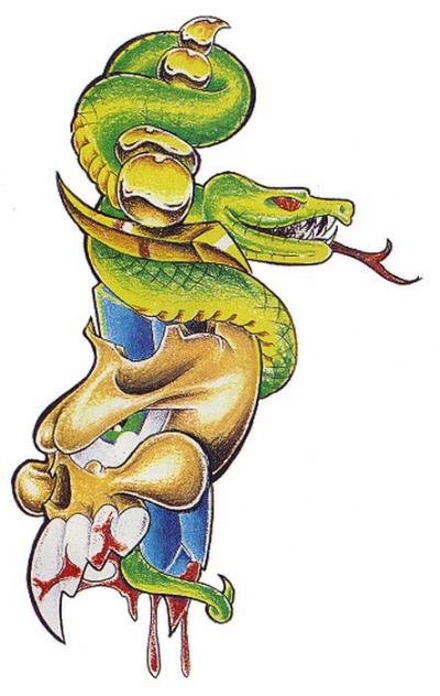 Modles - serpents lzards - Photo20