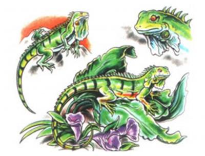 Modles - serpents lzards - iguana