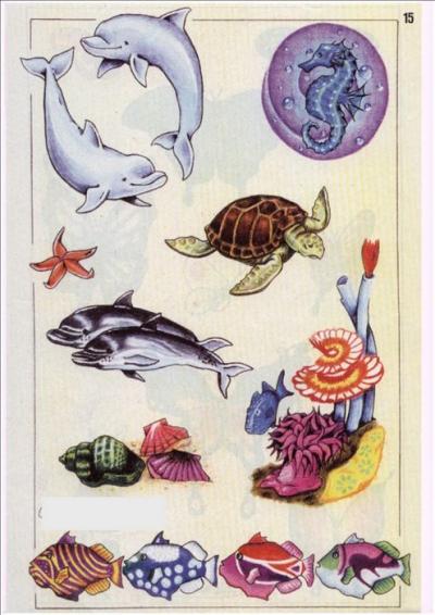 Modles - sirnes poissons divers - Photo16