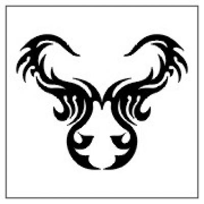 Modles - tribal - Photo2