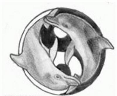 Modles - Les Dauphins - Photo29