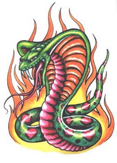 Modles - serpents lzards - Photo5