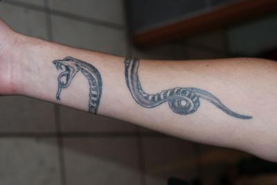 Nos ralisations - serpent lzard - tattoo cobra