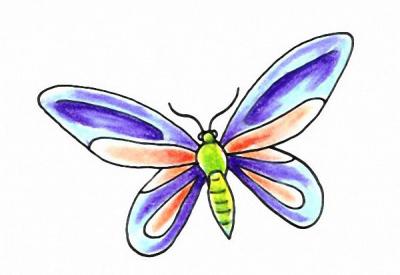 Modles - Papillons - papillon 7