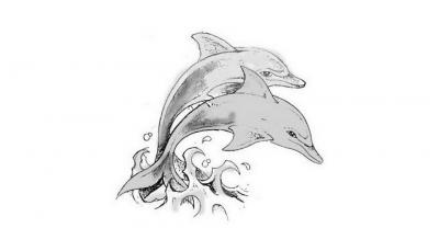 Modles - Les Dauphins - Photo26