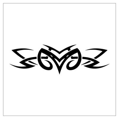Modles - tribal - Photo7
