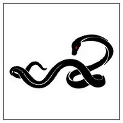 Modles - serpents lzards - Photo5
