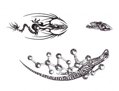 Modles - serpents lzards - Photo16
