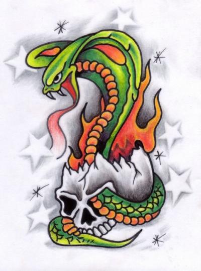 Modles - serpents lzards - Photo3