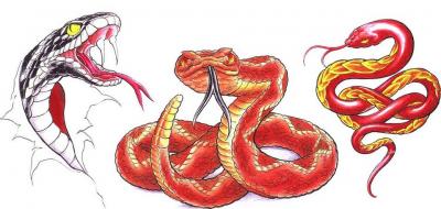 Modles - serpents lzards - Photo24