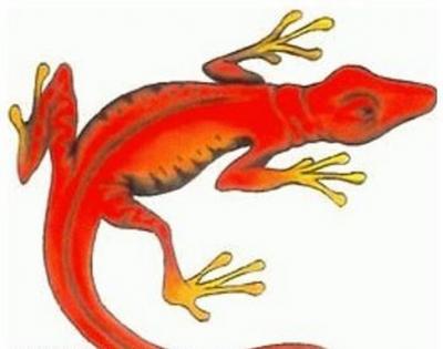 Modles - serpents lzards - Photo18