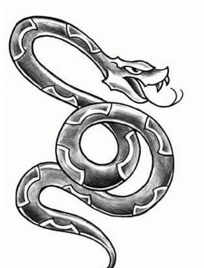 Modles - serpents lzards - Photo10