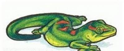 Modles - serpents lzards - Photo10