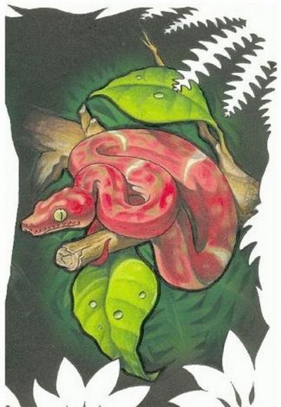Modles - serpents lzards - Photo19