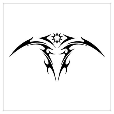 Modles - tribal - Photo3