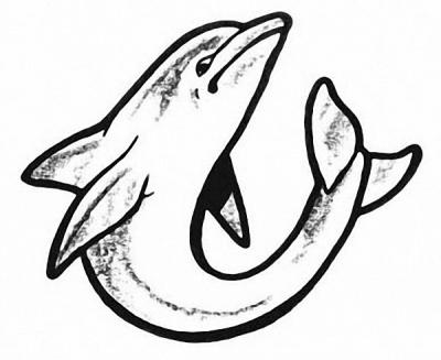 Modles - Les Dauphins - dauphin 1