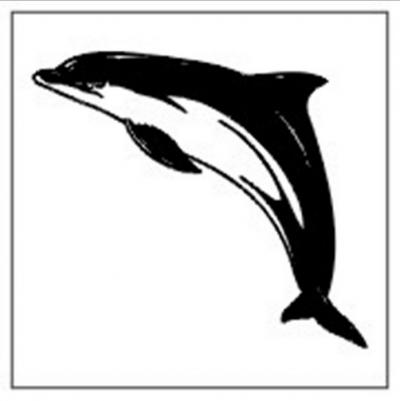 Modles - Les Dauphins - Photo22