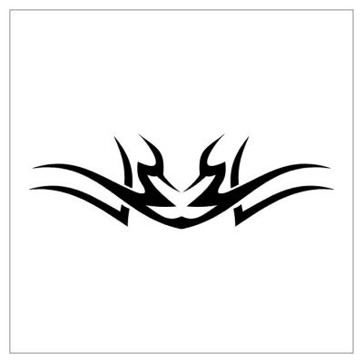 Modles - tribal - Photo6