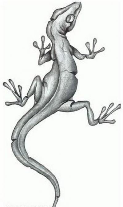 Modles - serpents lzards - Photo12