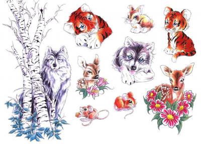 Modles - Animaux divers - Photo25