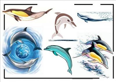 Modles - sirnes poissons divers - Photo9