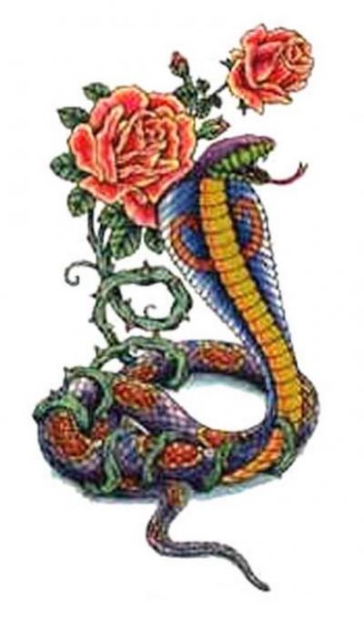 Modles - serpents lzards - Photo9