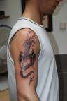 Toutes nos ralisations sur les tattoos dragon divers