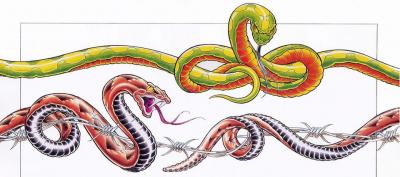 Modles - serpents lzards - Photo25