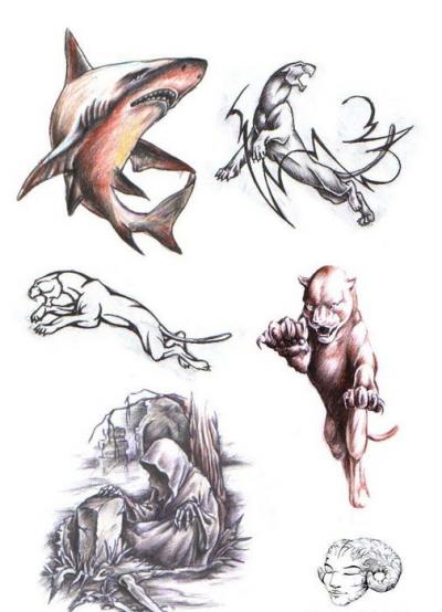 Modles - Animaux divers - Photo22